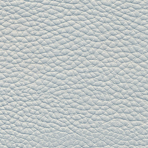 Corium Gris Ple 8831